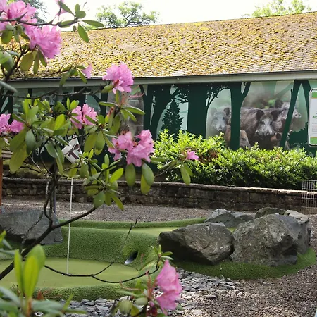 Regiohotel Germania Am Kurpark 3*