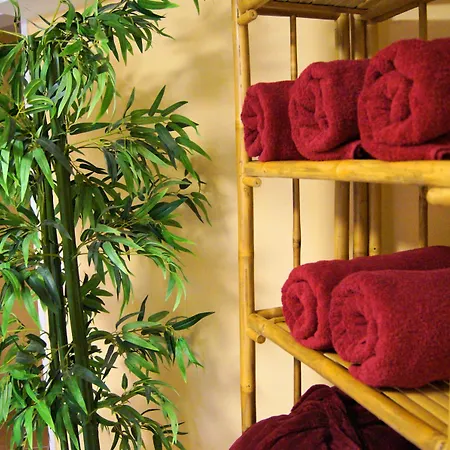 Regiohotel Germania - #direktamkurpark #wellnessbereich #fruehstuecksbuffet #freeparking Hotel 3*