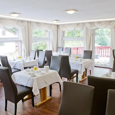 Regiohotel Germania - #direktamkurpark #wellnessbereich #fruehstuecksbuffet #freeparking Bad Harzburg