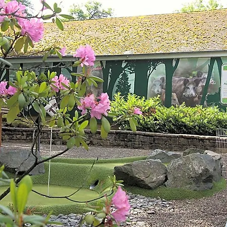 Regiohotel Germania ホテル