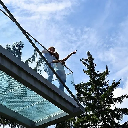 Regiohotel Germania 3* 바트하르추부르크