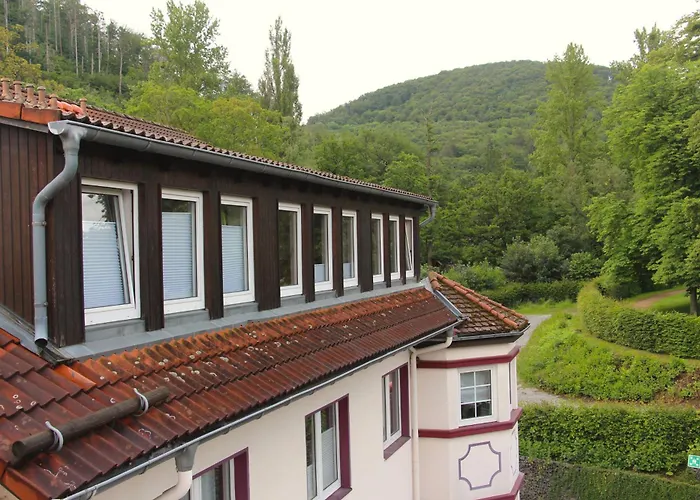 Regiohotel Germania - #direktamkurpark #wellnessbereich #fruehstuecksbuffet #freeparking Bad Harzburg
